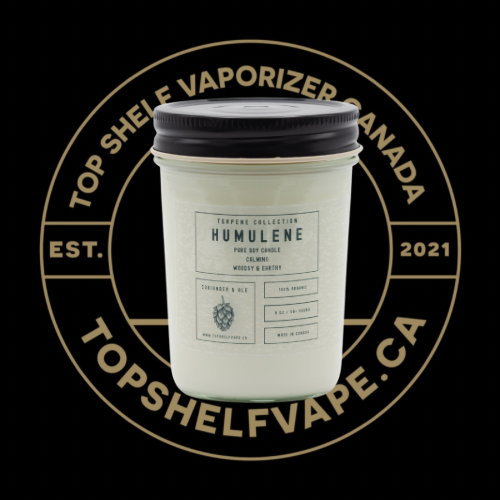 Humulene Soy Candle | Terpene Collection