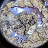 Mason Brite Magnifying LED Jar/Light