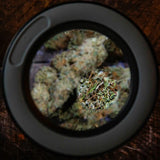 Mason Brite Magnifying LED Jar/Light