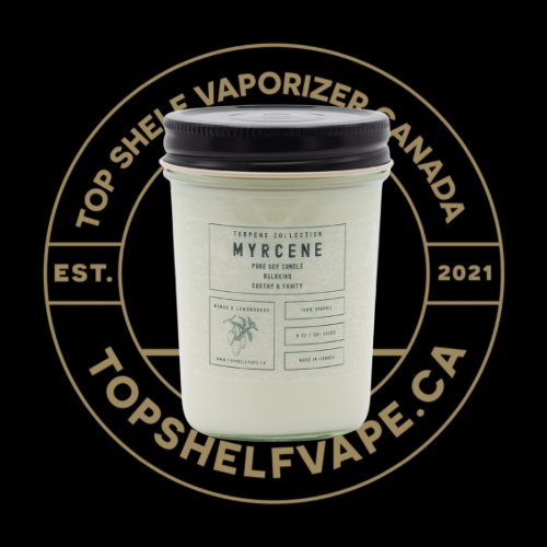 Myrcene Soy Candle | Terpene Collection