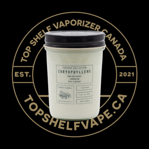 Caryophyllene Soy Candle | Terpene Collection